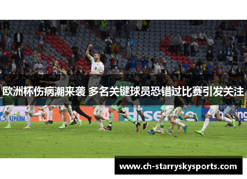 欧洲杯伤病潮来袭 多名关键球员恐错过比赛引发关注
