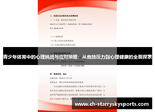 青少年体育中的心理挑战与应对策略：从竞技压力到心理健康的全面探索