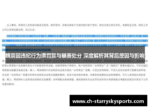 魏震因违纪行为遭罚款与禁赛处分 深度解析其背后原因与影响
