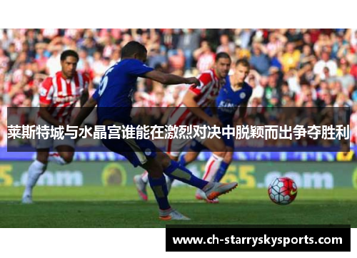莱斯特城与水晶宫谁能在激烈对决中脱颖而出争夺胜利