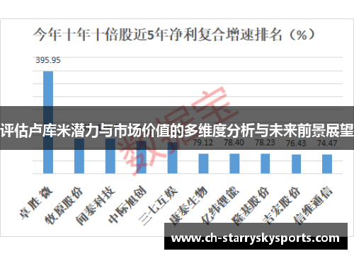 评估卢库米潜力与市场价值的多维度分析与未来前景展望 评估卢库米潜力与市场价值的多维度分析与未来前景展望
